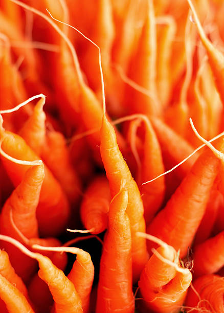 Carrot background stock photo