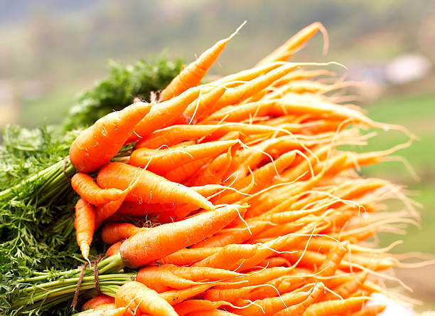 Carrot background stock photo