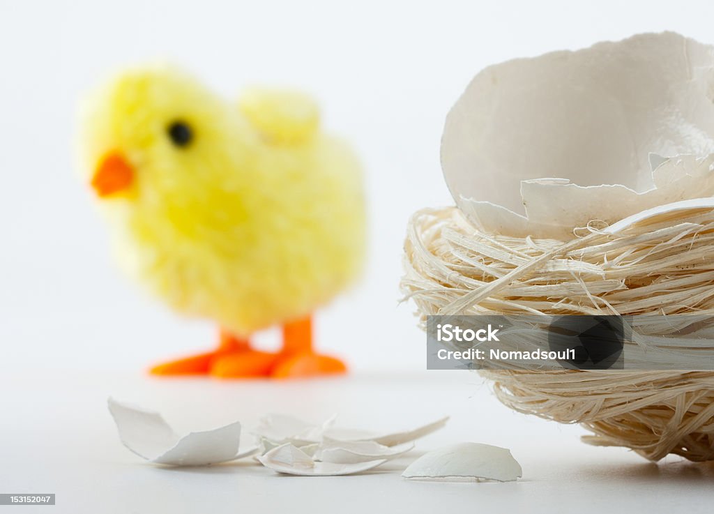 Anidar con cáscara de huevo grietas y pollo de juguete - Foto de stock de Agrietado libre de derechos