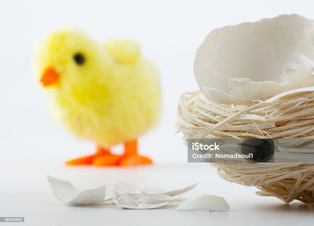 Nest com Casca de ovo de galinha rachas e Brinquedo - Royalty-free Amarelo Foto de stock