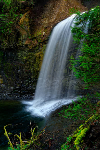 istock Ammonite Falls, Nanaimo, Vancouver Island, BC Canada 1531531123