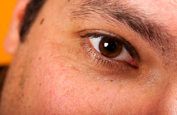 istock Anatomy Brown Eye Detail 153154025