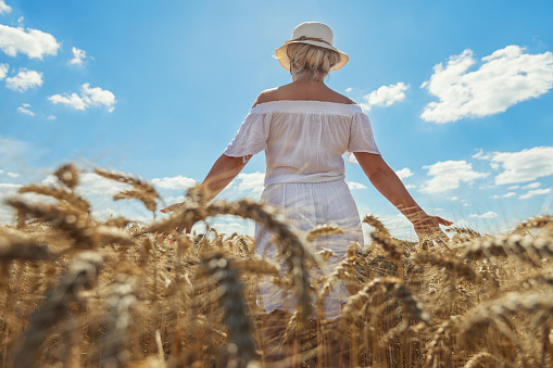 Woman walking through a wheat field on a sunny day