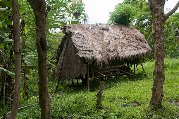 istock old house in wilderness Bali 153157161