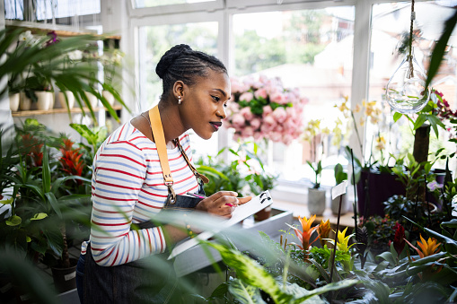Side-view of female florist of Black ethnicity doing inventory and quality control of plants at the flower shop