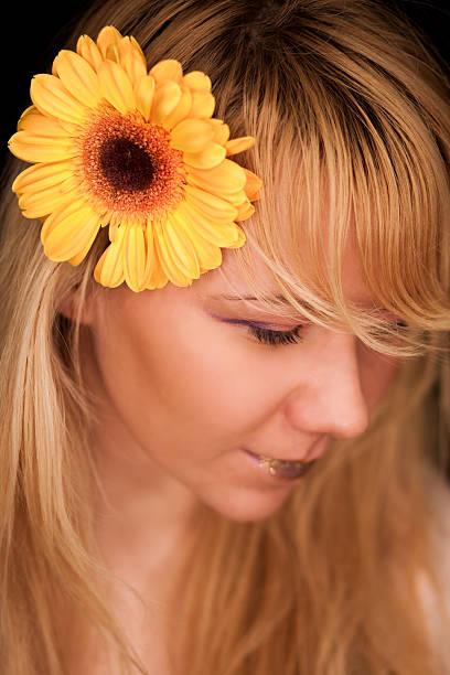 Sunflower stock photo