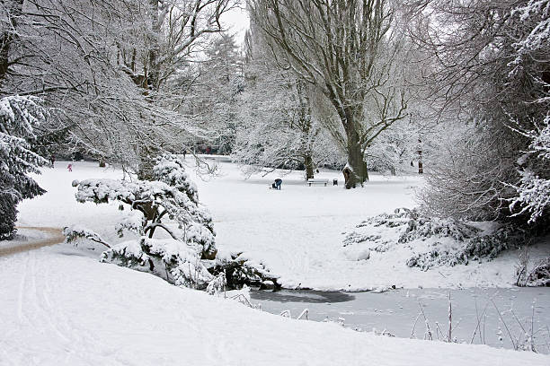 istock Park in the winter 153160081