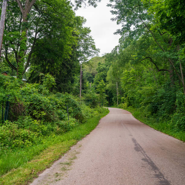 istock Rural Country Road with Trees around 1531607780