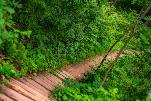 Natural Landscape - Wooden Staircase up the Niagara Escarpment on the Bruce Trail in Hamilton, Ontario