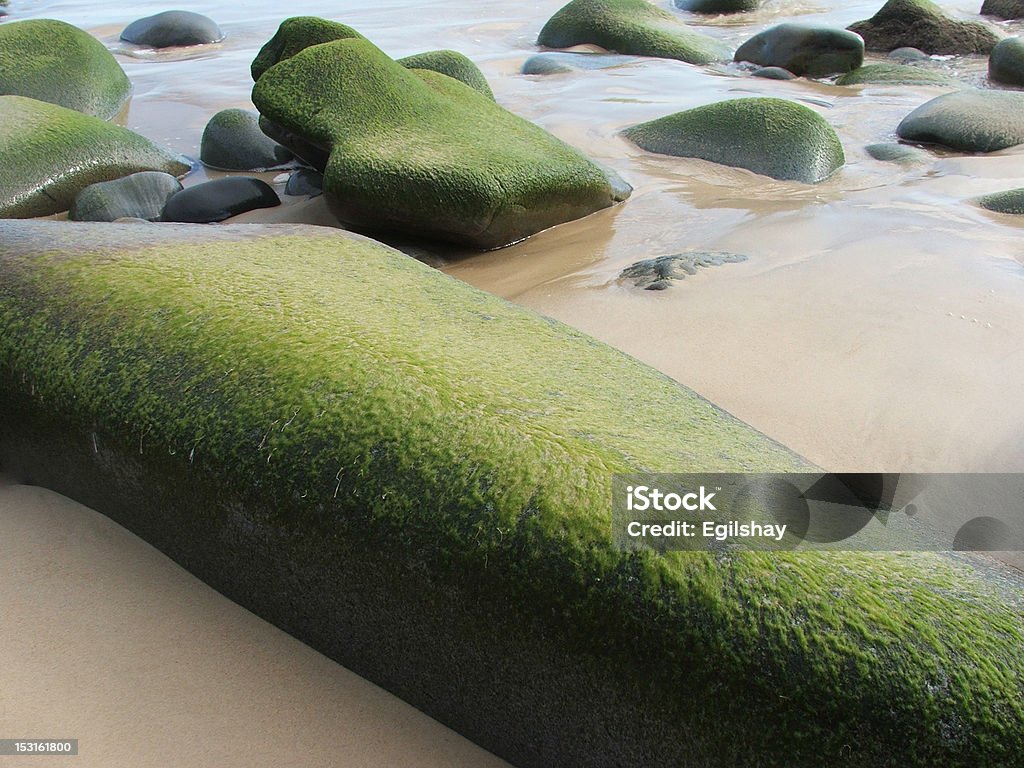 Verde Rocks - Foto de stock de Aire libre libre de derechos