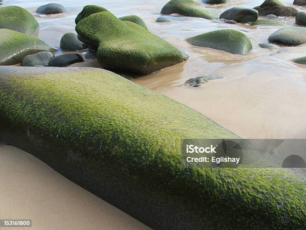 Verde Rocks Foto de stock y más banco de imágenes de Aire libre - Aire libre, Belleza, Belleza de la naturaleza