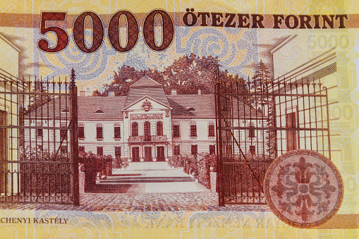 Macro shot of 5000 Hungarian forint bill