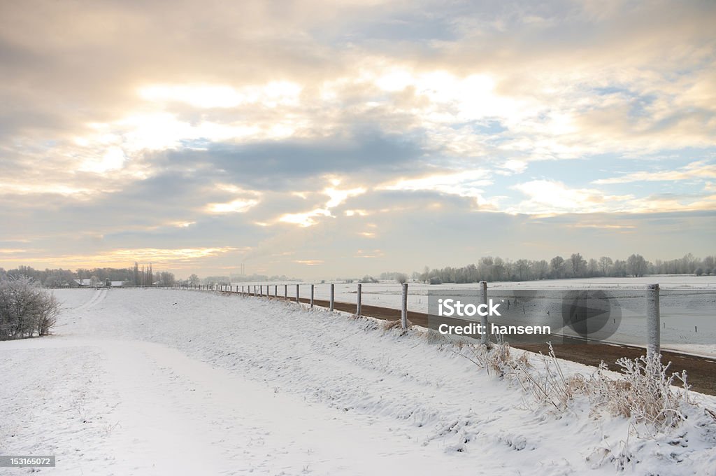 zimowy krajobraz - Zbiór zdjęć royalty-free (Bez ludzi)