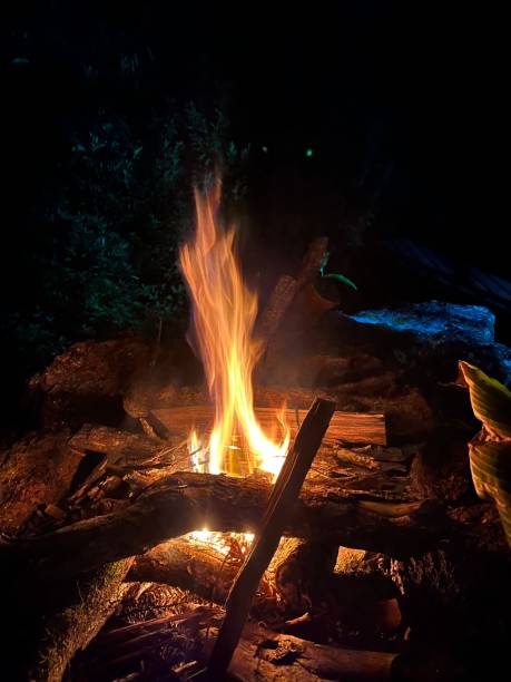 istock Fire in woods and Nature 1531651367