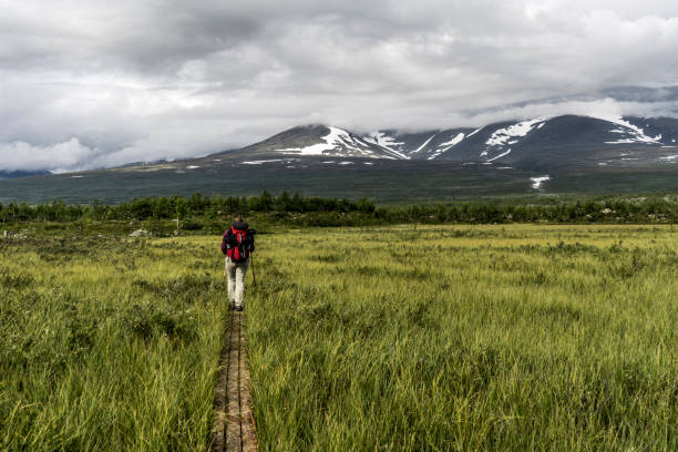 istock Hiker in the Sarak National Park 1531652493