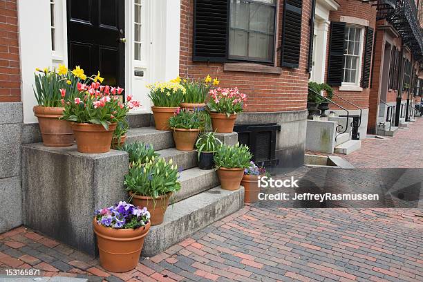 Primavera Flores Na Cidade - Fotografias de stock e mais imagens de Jardinagem - Jardinagem, Massachusetts, Alpendre