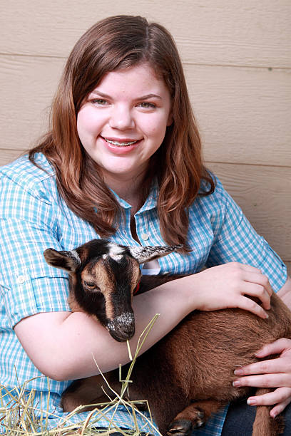 istock Girl Holding Baby Goat 153165992