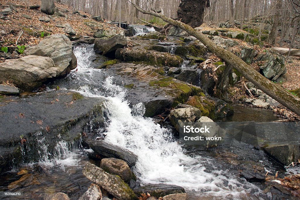 Splattering Waterfall above Spruce Lake A small, fast-flowing waterfall above Spruce Lake in Mountain Lakes Park in Westchester country, New York.  Taken with a fast exposure. Flowing Water Stock Photo