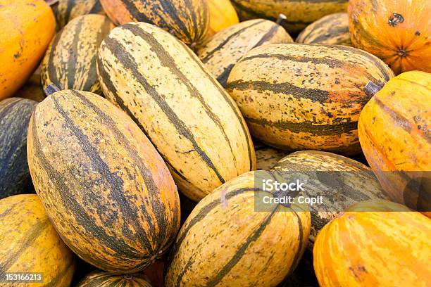 Foto de Espaguete Squash e mais fotos de stock de Moranga - Cucúrbita - Moranga - Cucúrbita, Espaguete, Espaguete Squash