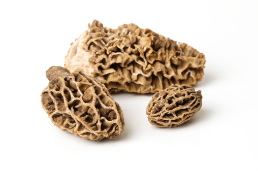 Three fresh Morel mushrooms that vary in size and shape.