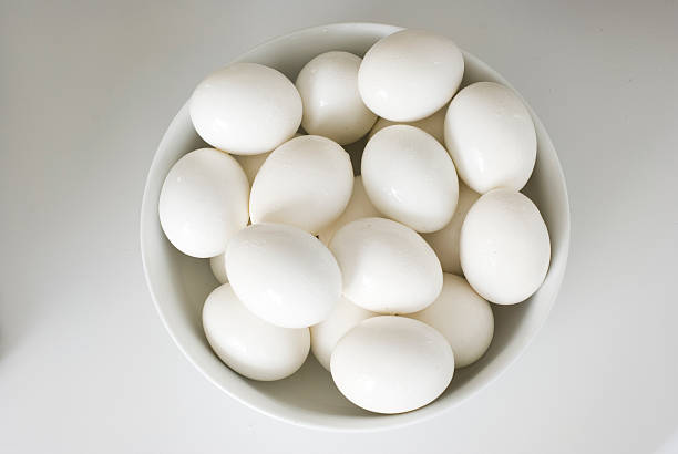 egg bowl stock photo