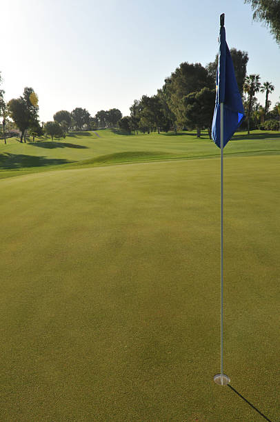 istock Golf green with flag in hole 153168436
