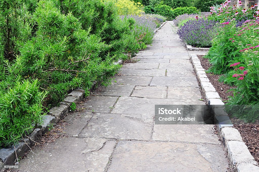 Chemin à travers un magnifique jardin - Photo de Allée de jardin libre de droits