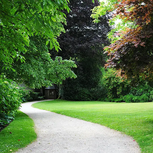 Leafy Tree Lined Winding Path through a Beautiful English Landscape Garden