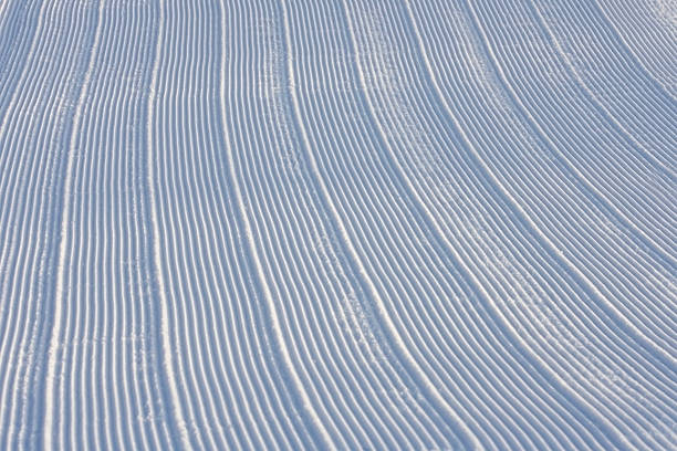 Arreglado nieve fresca - foto de stock