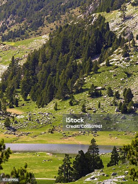 Benasque Valley Foto de stock y más banco de imágenes de Aire libre - Aire libre, Altiplanicie, Arboleda