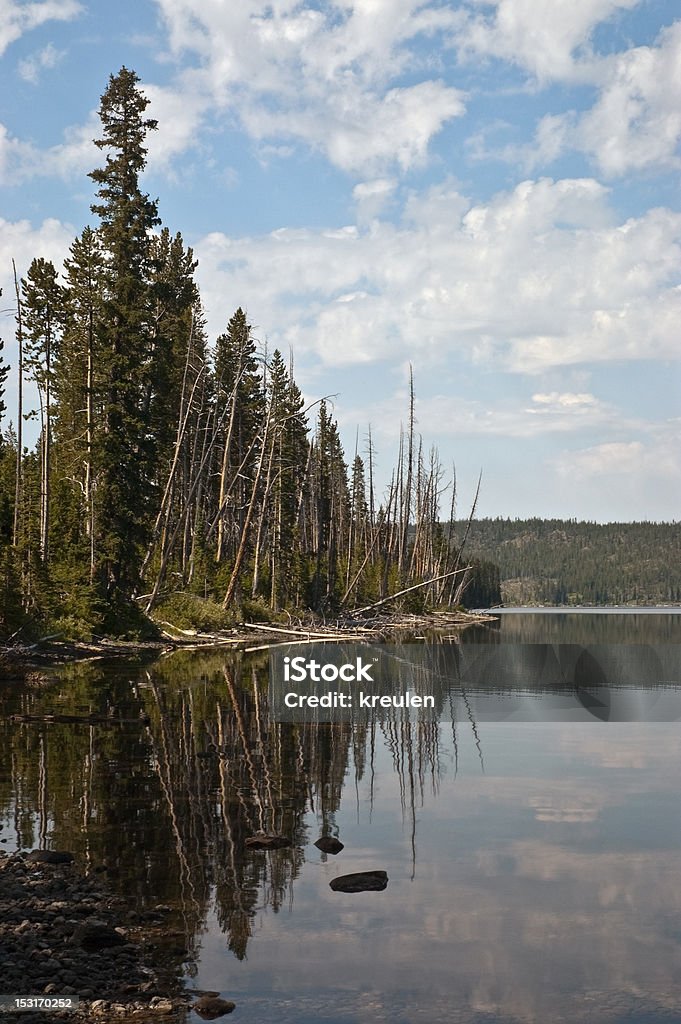 Lewis lago Reflection - Foto de stock de Agua libre de derechos