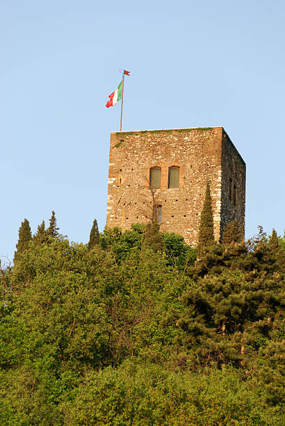 istock fortress of Solferino 153170487
