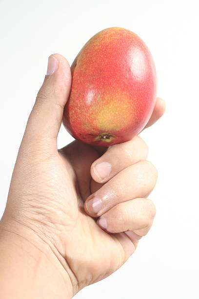istock picture of a mango. 153171113
