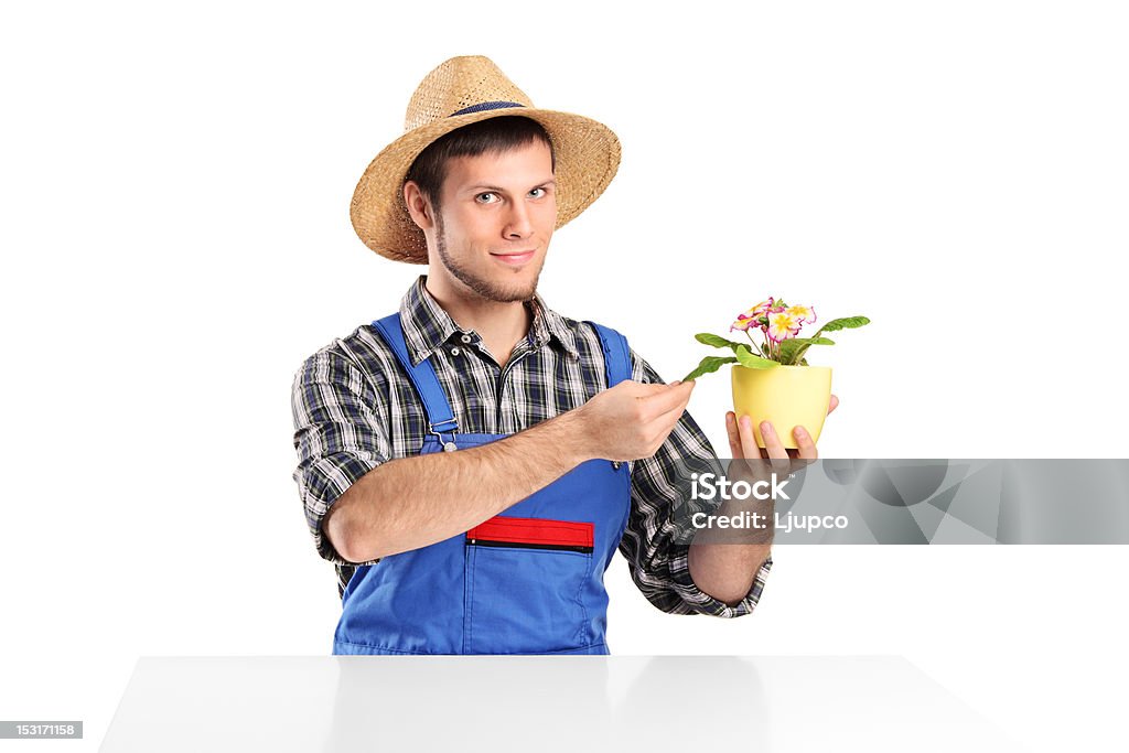 Мужчина Садовник Проверка Горшок для цветов - Стоковые фото Белый роялти-фри