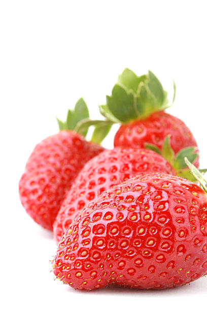 strawberries stock photo