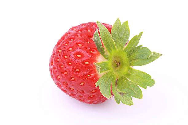 strawberry stock photo