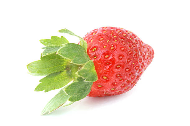 strawberry stock photo