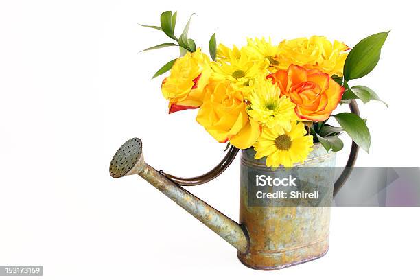 Giallo Bouquet Di Fiori Di Primavera In Un Annaffiatoio - Fotografie stock e altre immagini di Scontornabile