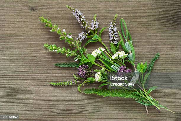 Foto de Ervas Especiarias e mais fotos de stock de Absinto - Planta - Absinto - Planta, Agosto, Botão - Estágio de flora