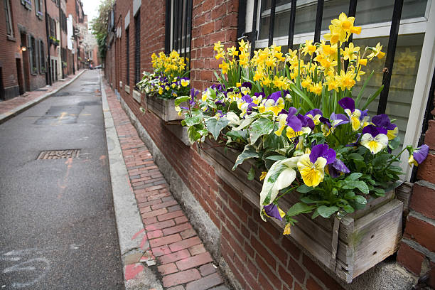 Elegant Back Bay apartments in the spring