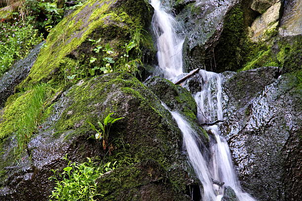 picturesque waterfalls to full energies and purities, paradise cozy corner