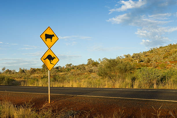 istock Warning sign for stray animals in remote Australia. 153176757