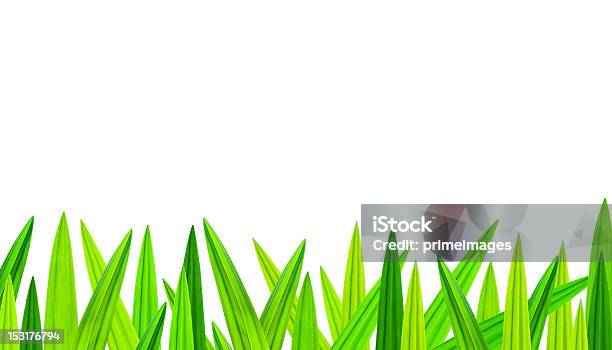 Foto de Textura De Folhas Verdes No Fundo e mais fotos de stock de Abstrato - Abstrato, Agricultura, Amarelo