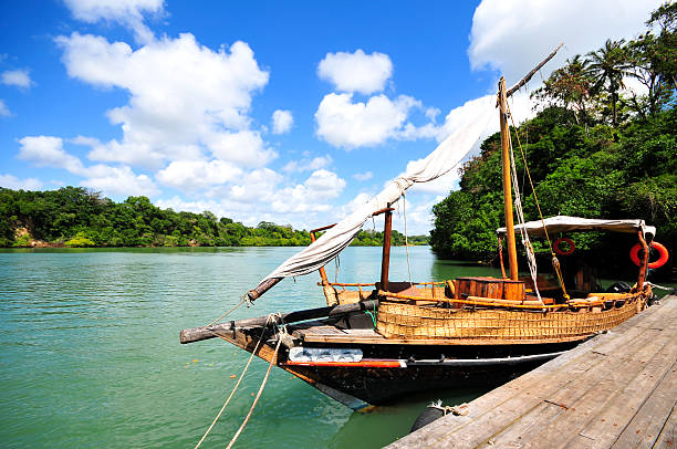 dhow sailing boat in Kenya Estuary and tropical forest behind the wooden boat dhow photos stock pictures, royalty-free photos & images