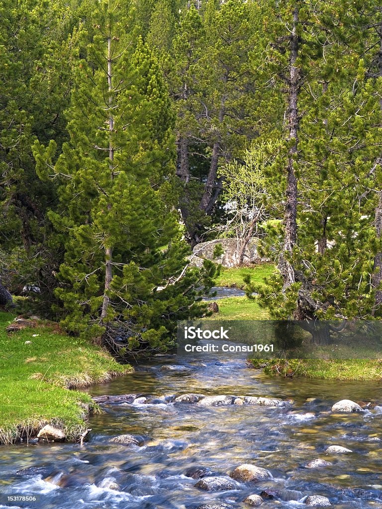 Creek - Foto de stock de Agua libre de derechos