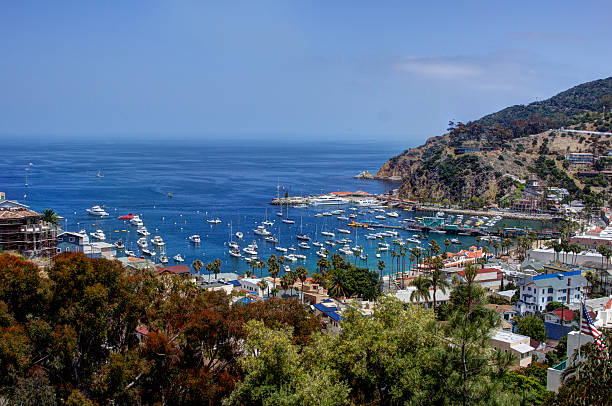 istock Moored Yachts Santa Catalina Island 153179542