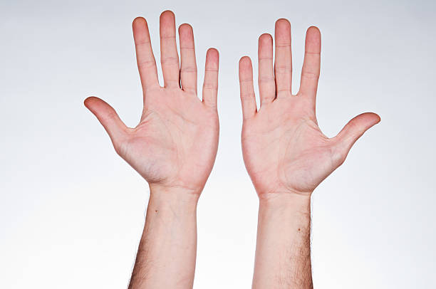Two hands with palms facing up stock photo