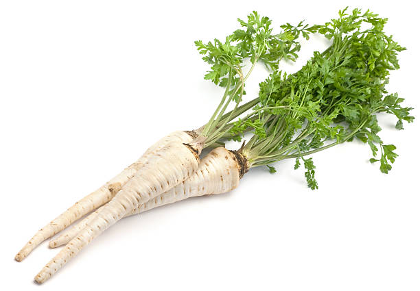 Parsley stock photo