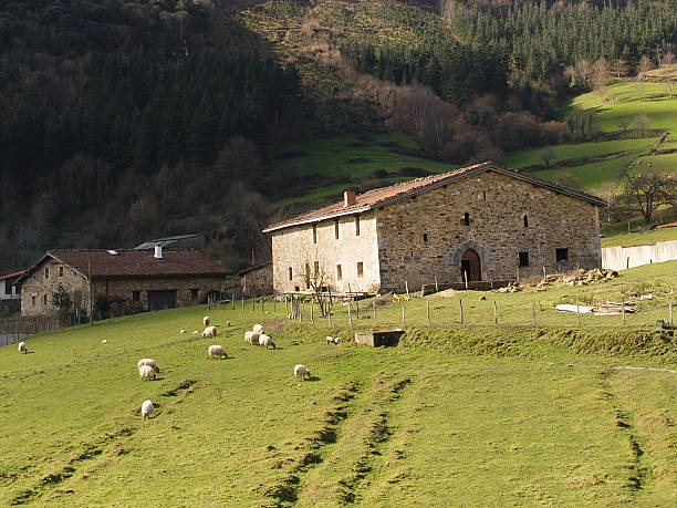 istock Typical Basque country farmhouse 153181487