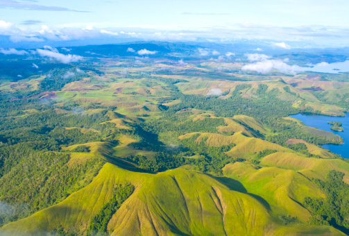 Aerial photo of the  coast of New Guinea with jungles and deforestation